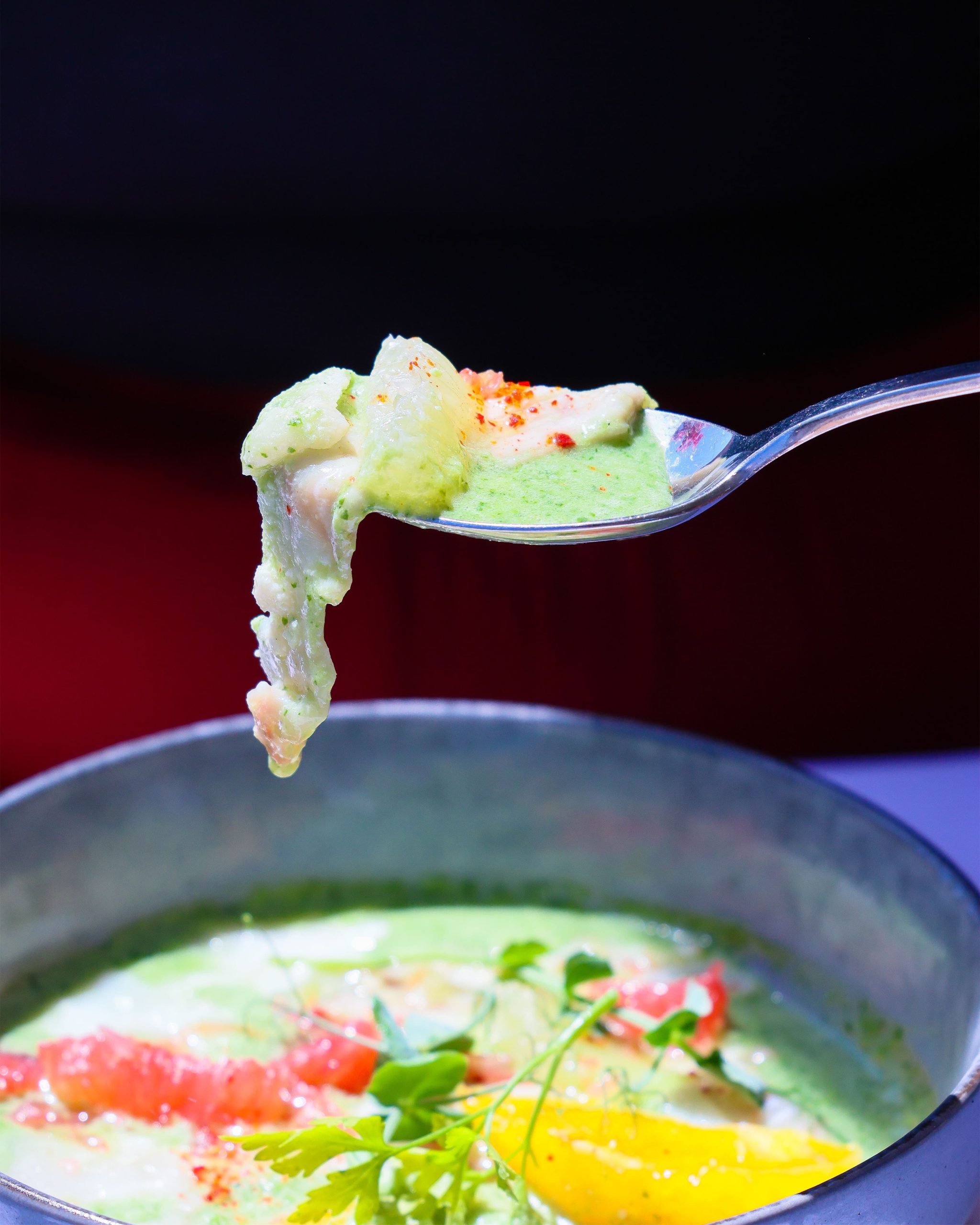 Ceviche_v2_01